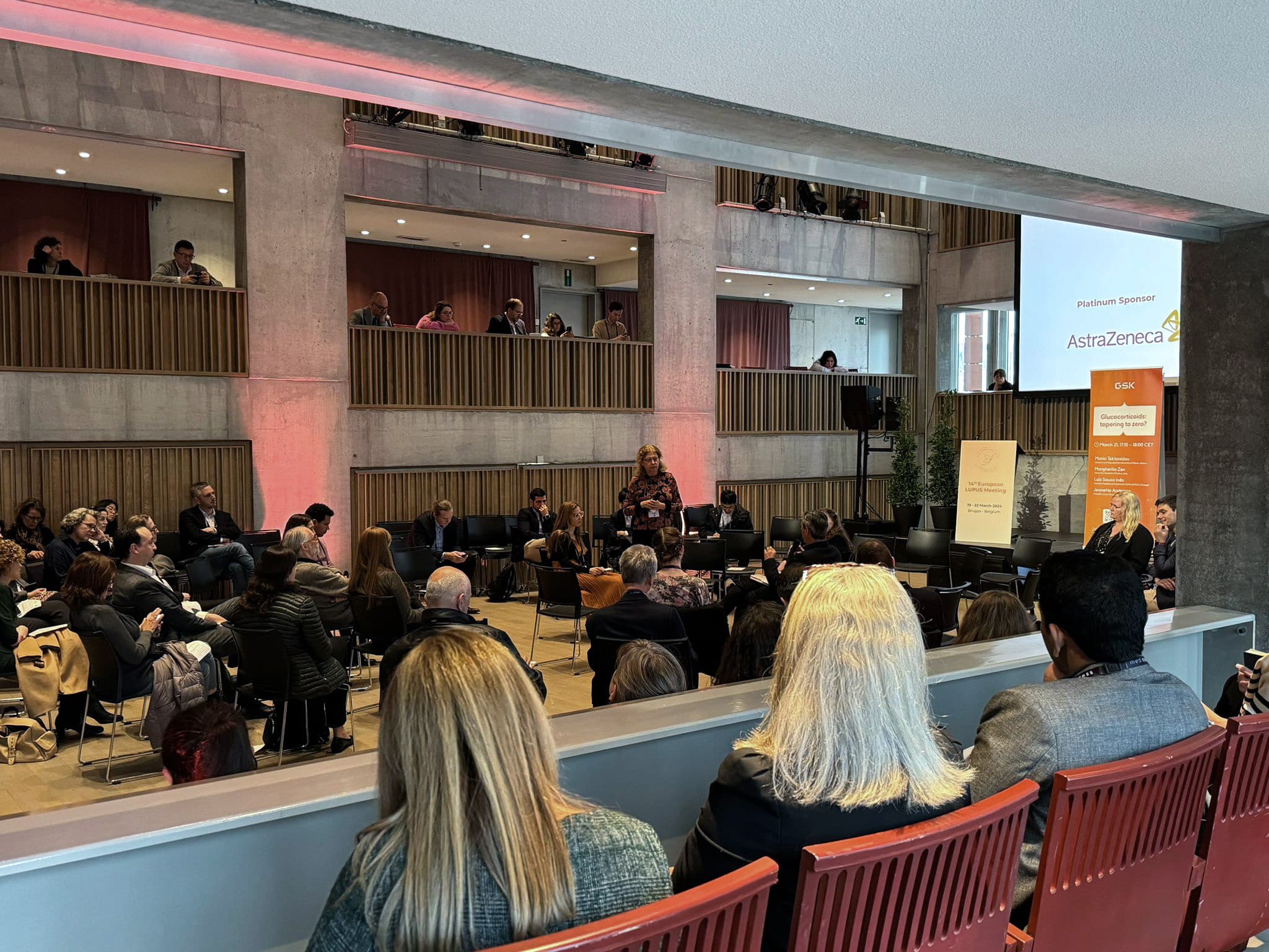 Delegates watching a panel discussion at the 14th European Lupus Meeting