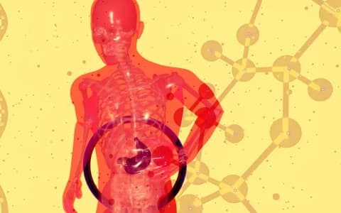 THE DIAGNOSIS PARADOX IN HEPATOLOGY