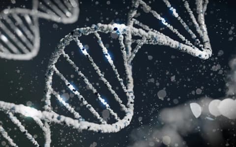 WILL GENE THERAPIES TRANSFORM THE LANDSCAPE OF RARE EPILEPSY?