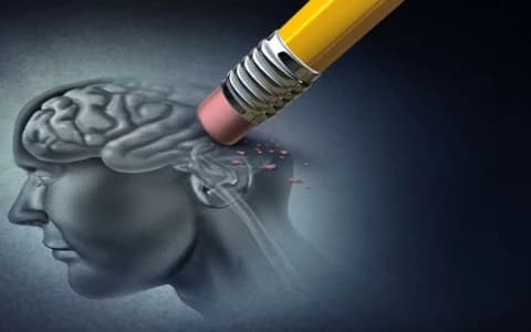 UNTANGLING THE COMPLEX WORLD OF ALZHEIMER’S DISEASE