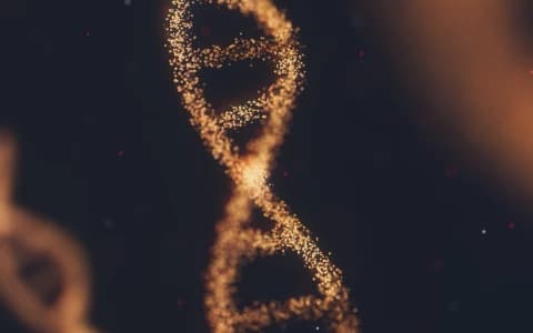 SYSTEMIC MASTOCYTOSIS, AN INTERESTING DISORDER WITH A BROAD SPECTRUM