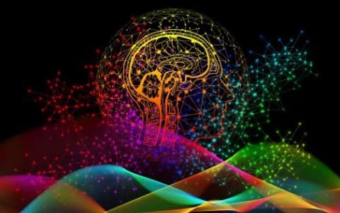 MENTAL HEALTH: THE INFLAMMATION CONNECTION