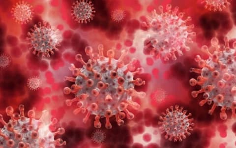 THE USE (AND MISUSE) OF QUARANTINE DURING PANDEMICS