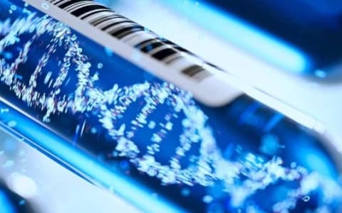 MOVING PAST THERANOS: WHO ARE THE REAL CANCER BLOOD SCREENING START-UPS?