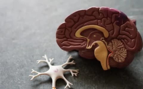 ALZHEIMER’S DISEASE: THE TERMINATION OF THE AN1792 TRIAL