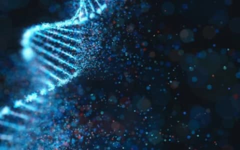 CAN TRAUMA BE BIOLOGICALLY INHERITED?