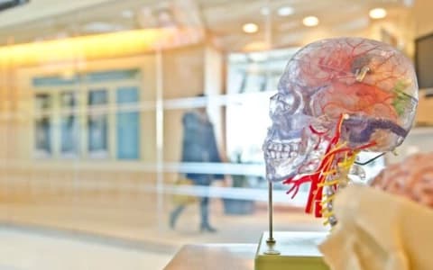 CAN MOBILE PHONES CONTROL OUR MINDS?