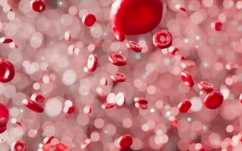 ASH 2025: THE PULSE OF PROGRESS